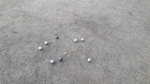 20150425_181615.jpg