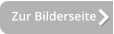 Zur Bilderseite